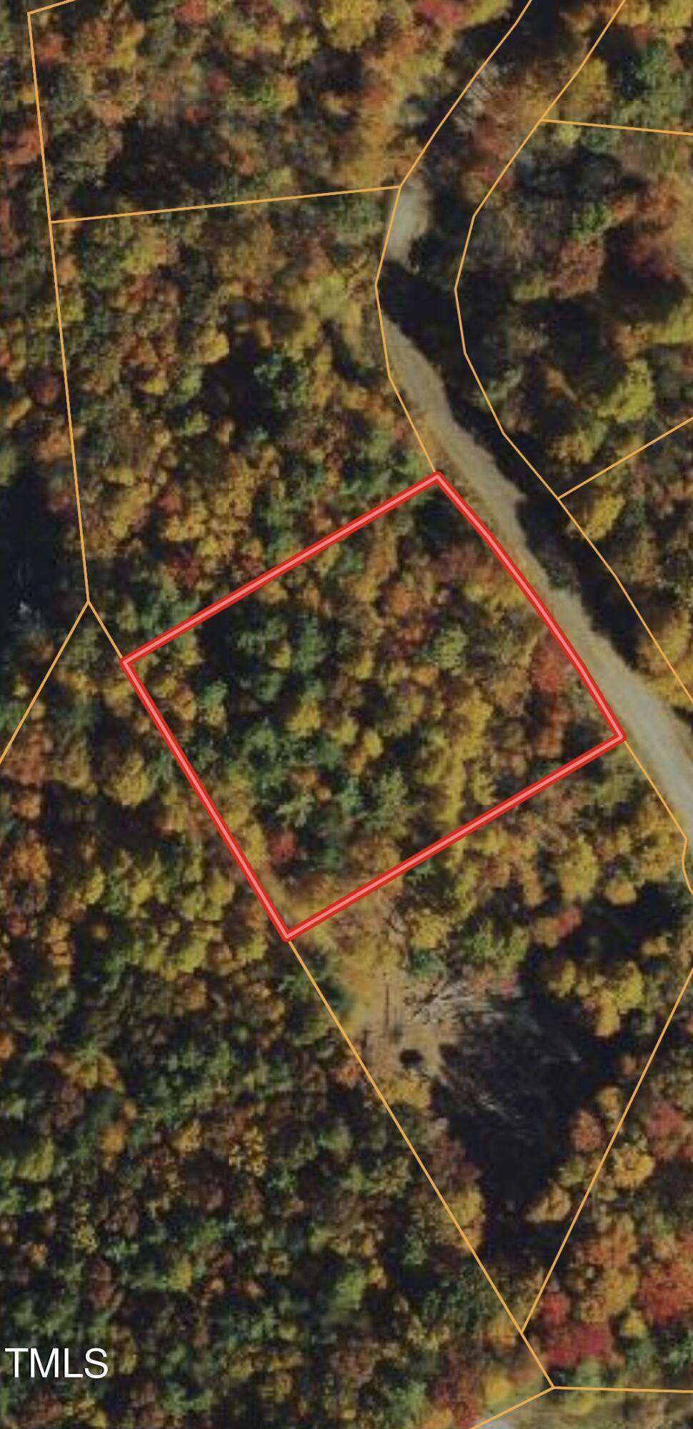 113 Acre Free Bird Drive - Photo 1