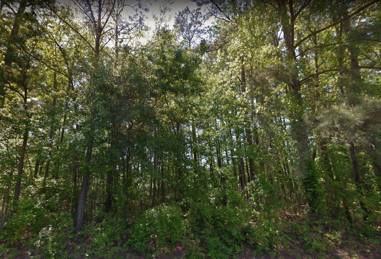 1300 Hickory Crossroads Road - Photo 1