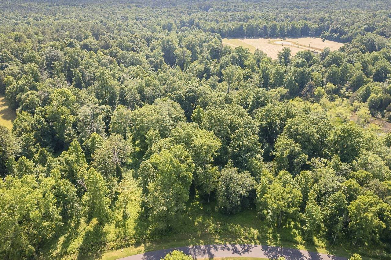 Lot 11 Gallant Fox Crossing - Photo 1