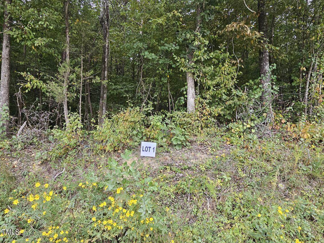 Lot 1 Doll Branch Road - Photo 1