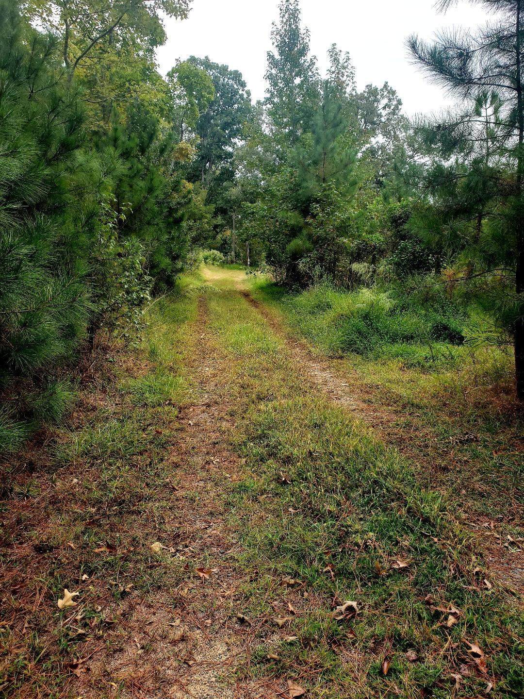 1313 Olive Branch Road - Photo 1