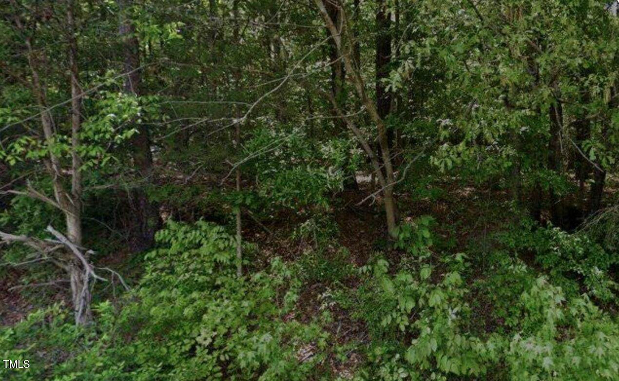 636 Christopher Road Road - Photo 1