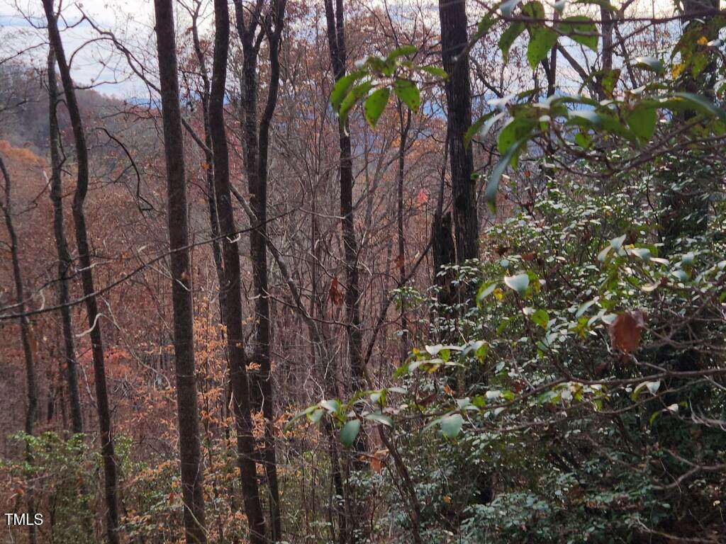 0 Bear Cove Circle - Photo 1