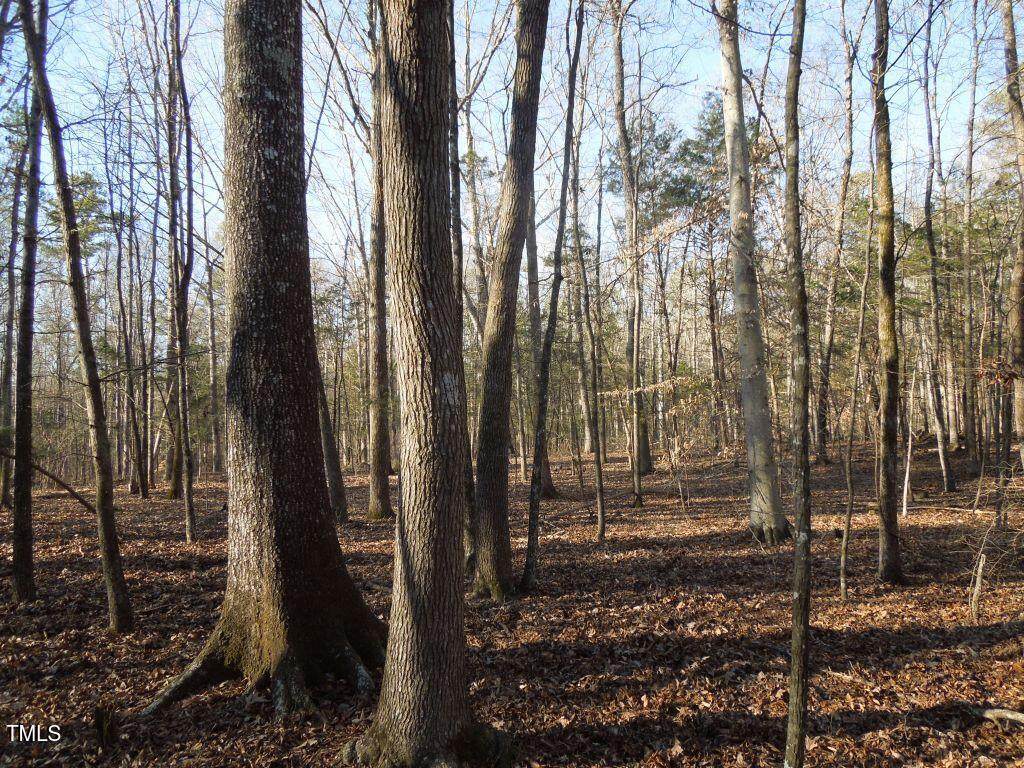 0 Noel Tuck Road - Photo 1