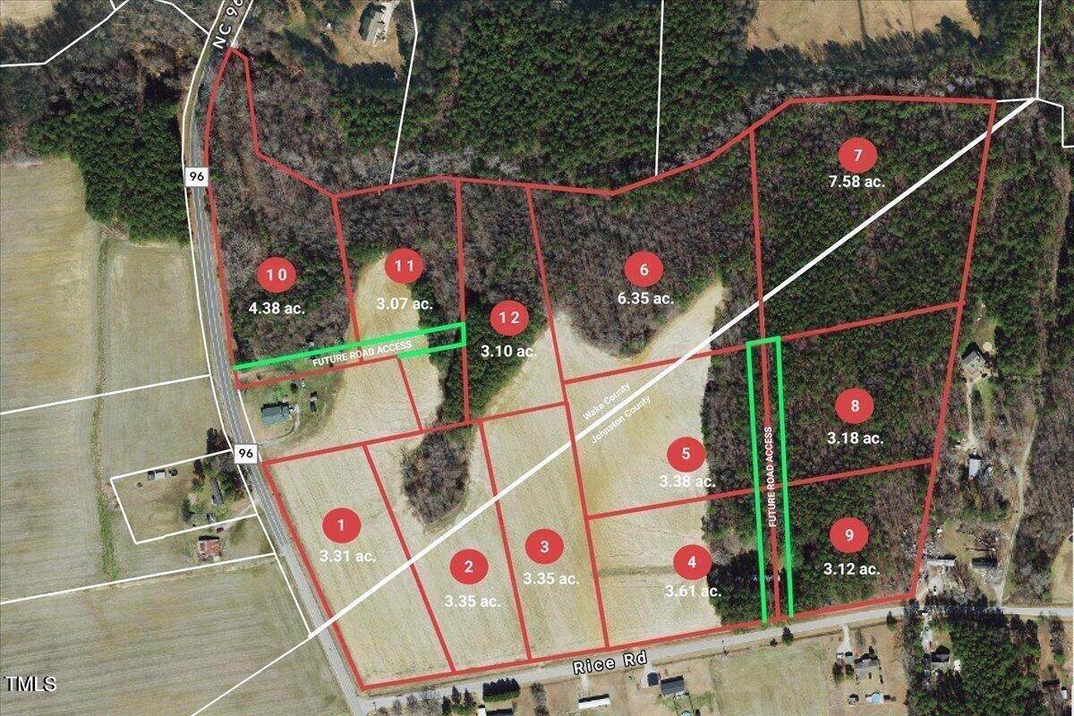 10317 Basmati Trail - Photo 1