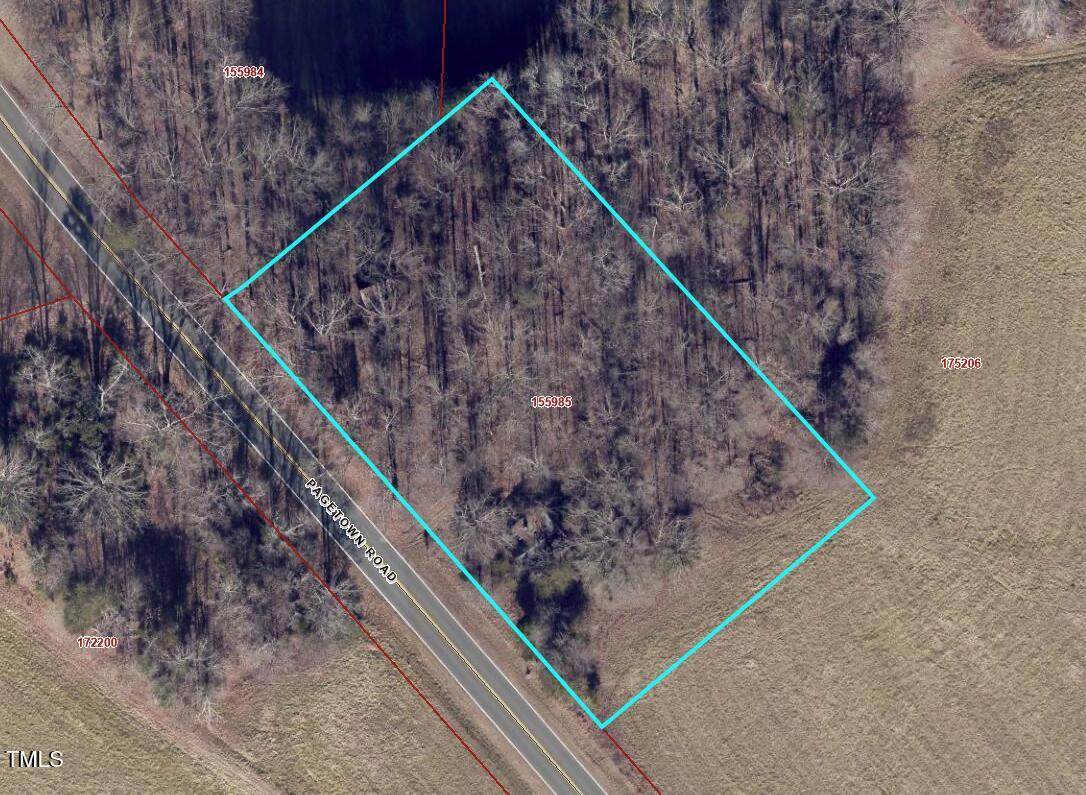 0 Pagetown Road - Photo 1