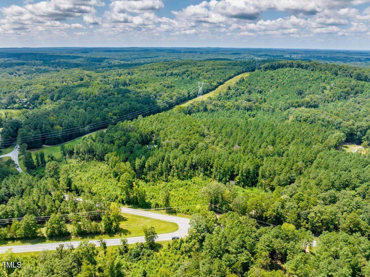 Tract A Chicken Bridge Road - Photo 1