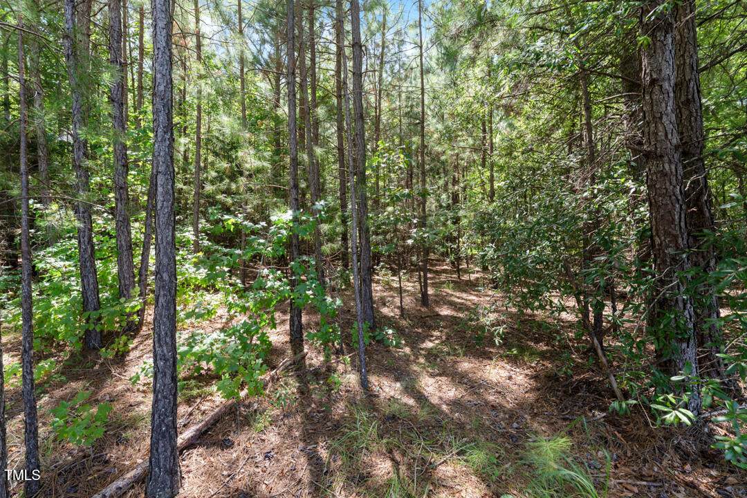 4106 Wilson Town Road - Photo 1
