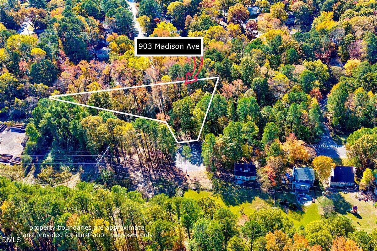 930 Madison Avenue - Photo 1