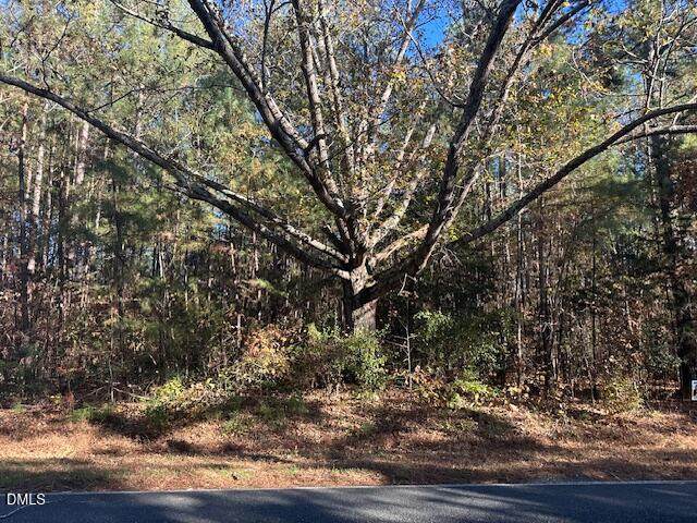 999 White Cross Road - Photo 1