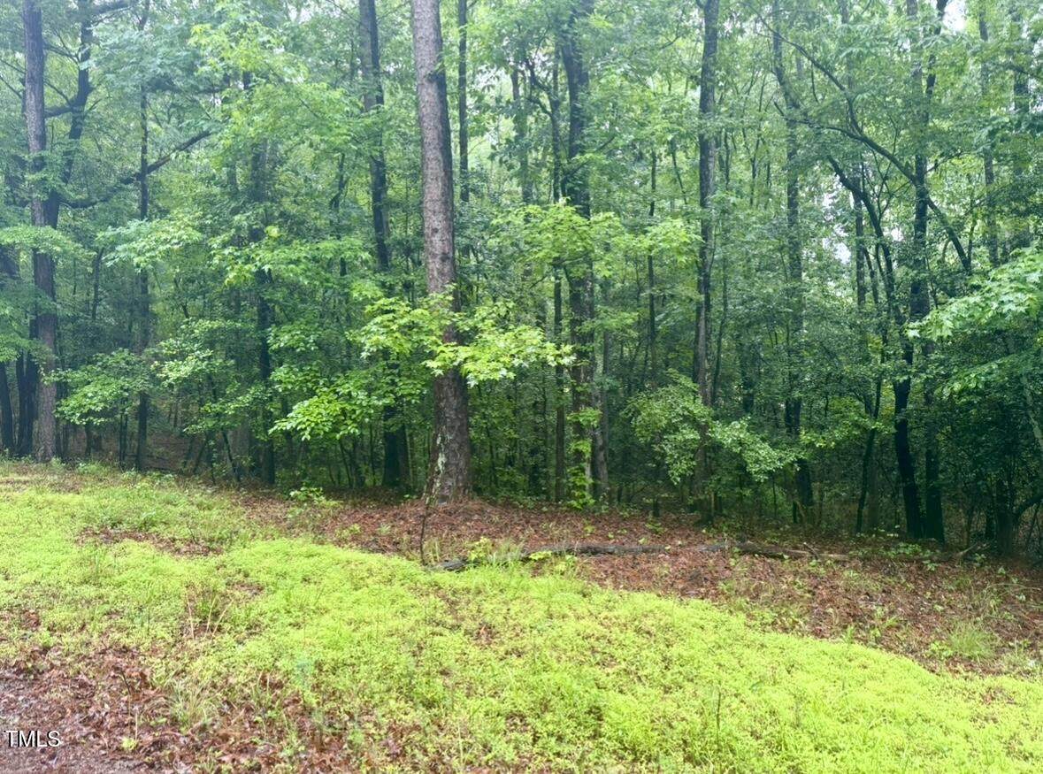 0 Chartres Street - Photo 1