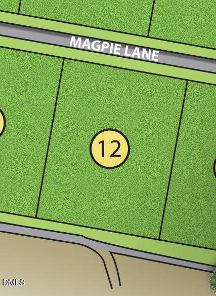 Lot 12 Magpie Lane - Photo 1