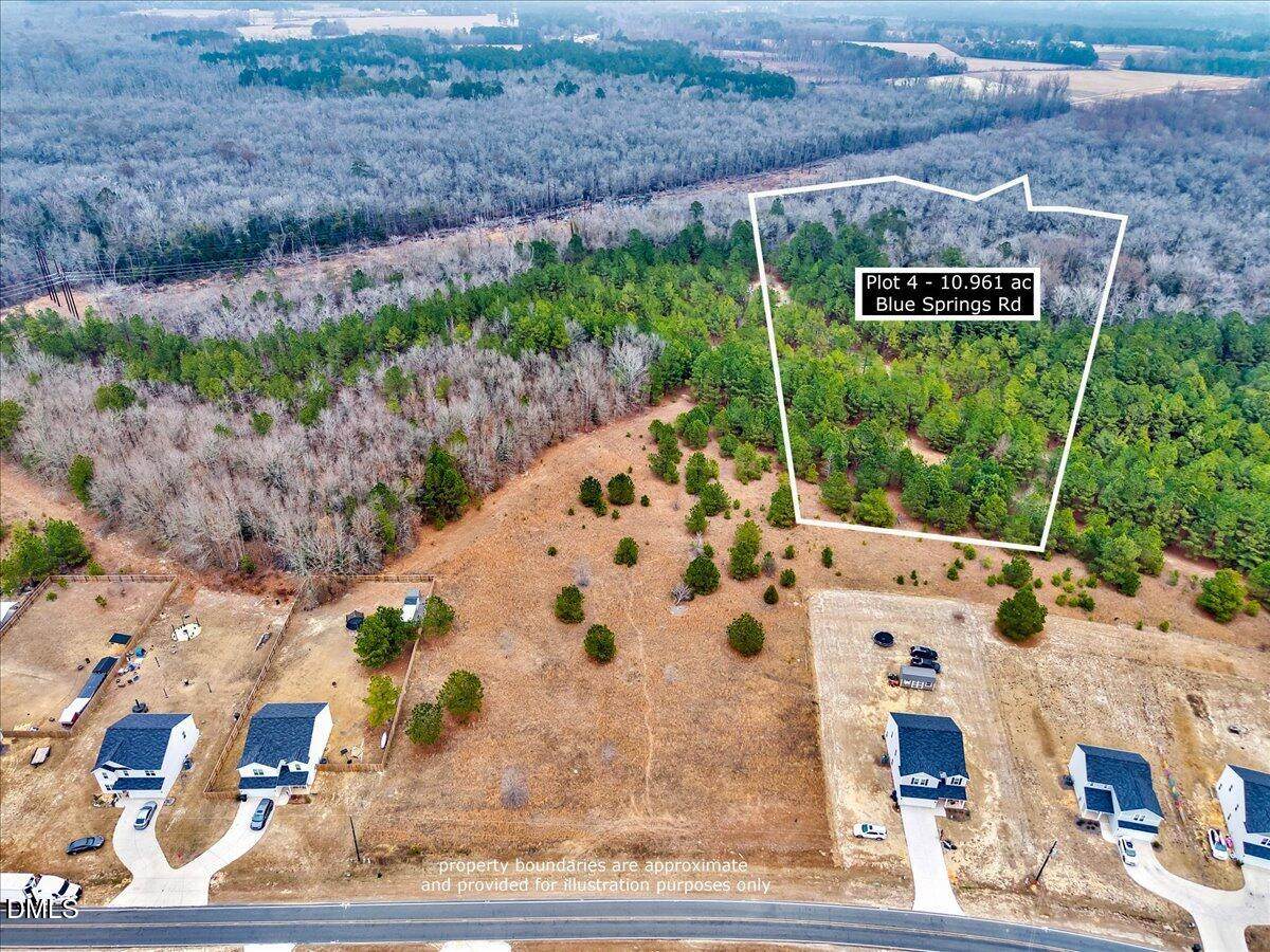 Lot 4 Blue Springs Road - Photo 1