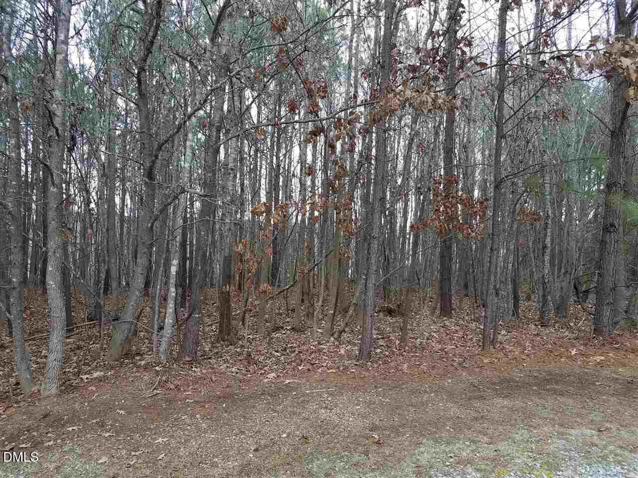 2908 Satori Way - Photo 1