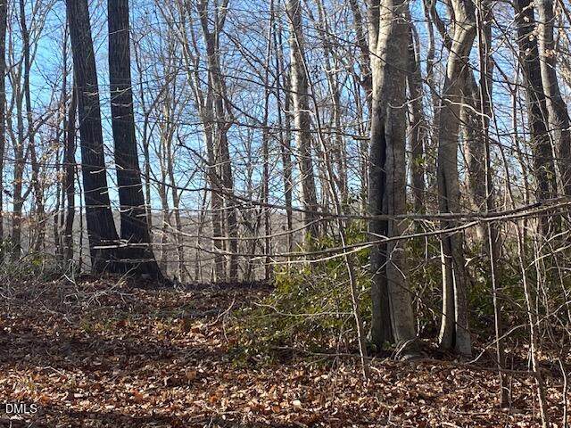 1135 Peninsula Lane - Photo 1