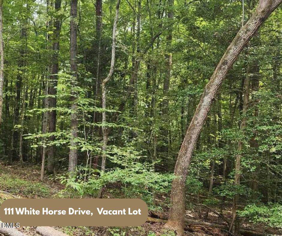 111 White Horse Drive - Photo 1