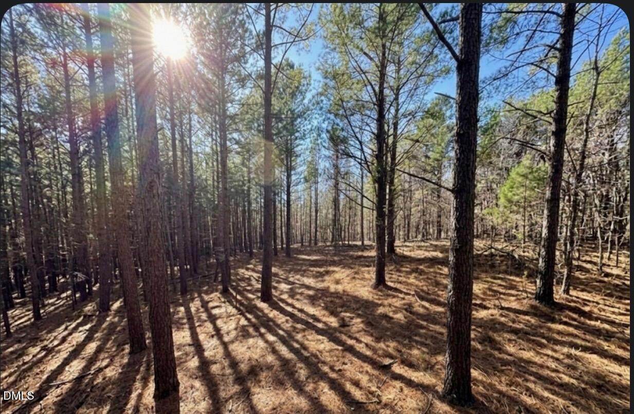 0 Highway 86 - Photo 1