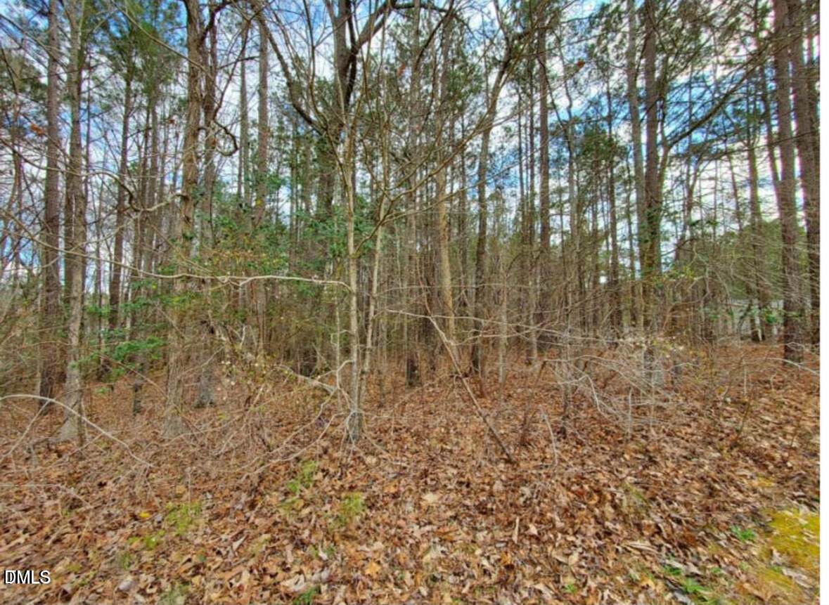 195 Owl Drive - Photo 1