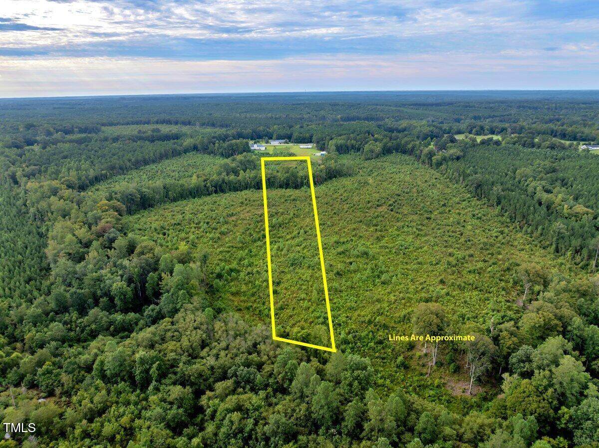 7 & 7a Richardson Road - Photo 1