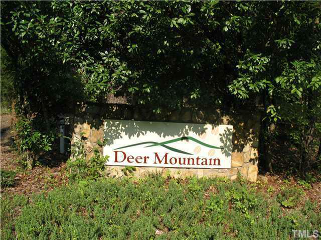 lot 4 Deer Mountain Road - Photo 1