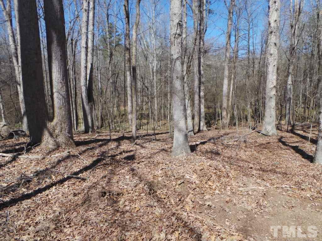 Lot 12 Woodland - Photo 1