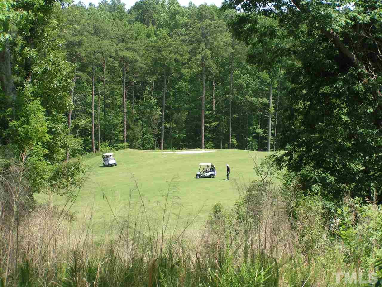 52 Golfers Ridge - Photo 1