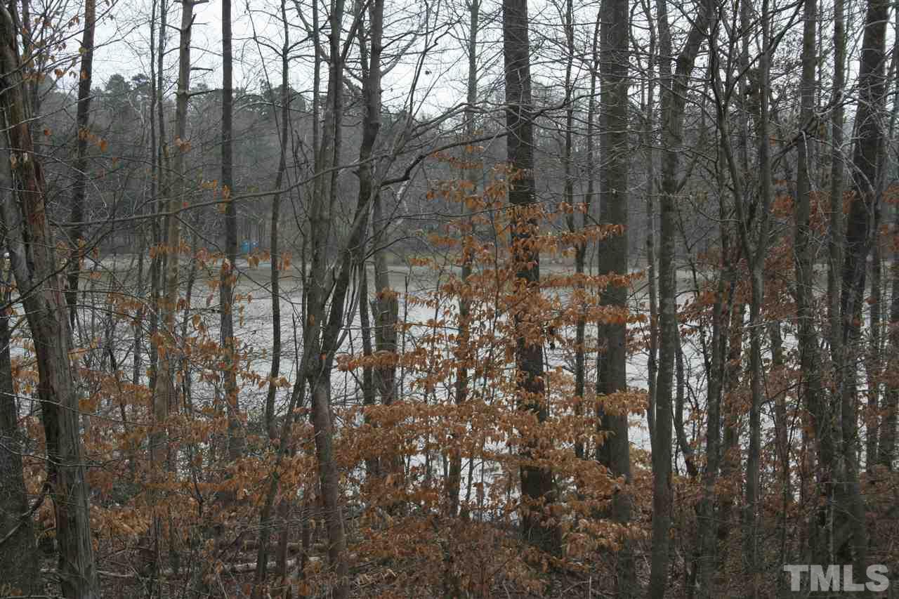 Lot # 1 Pine Lake Lane - Photo 1