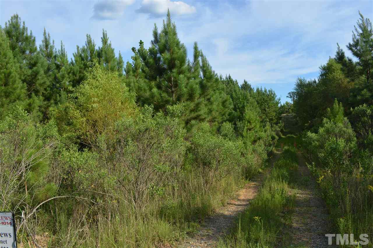 586 Big Sky Road - Photo 1
