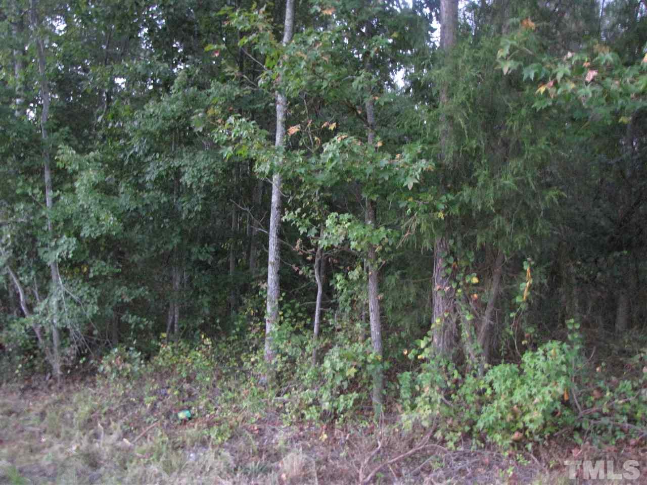 0 Garner Road - Photo 1