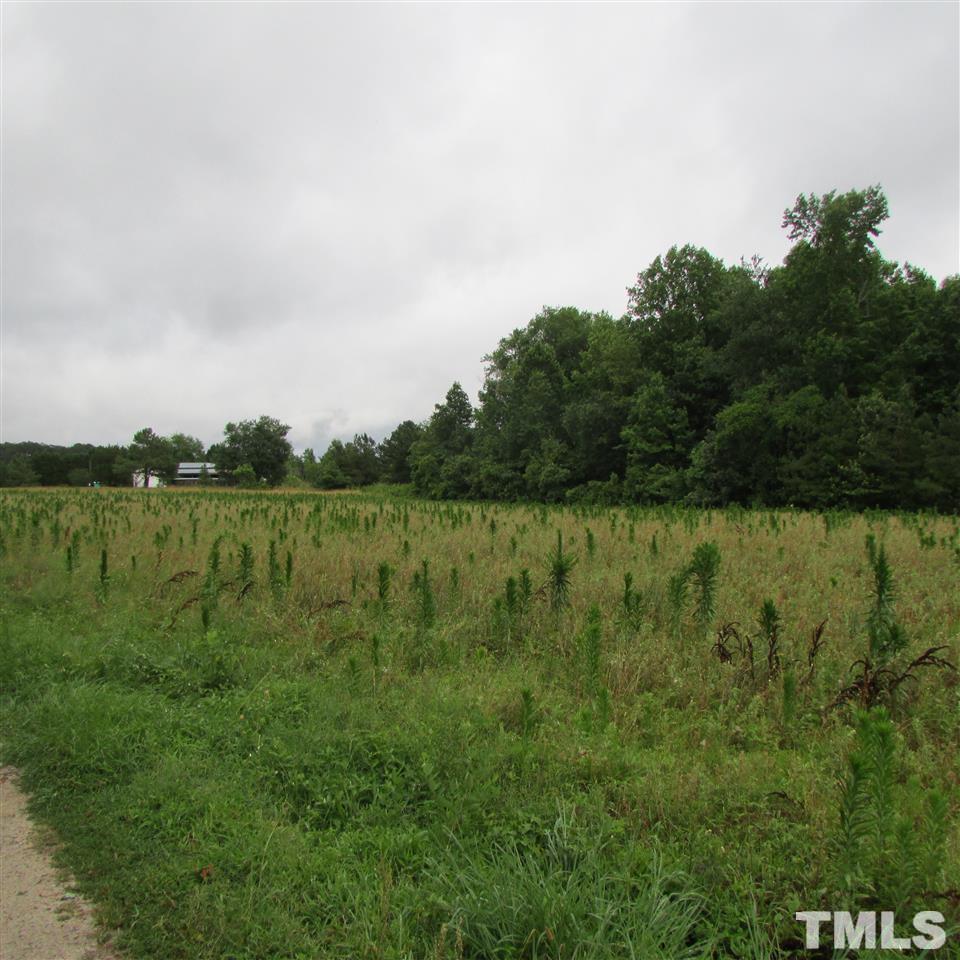 859 Pilot Riley Road - Photo 1