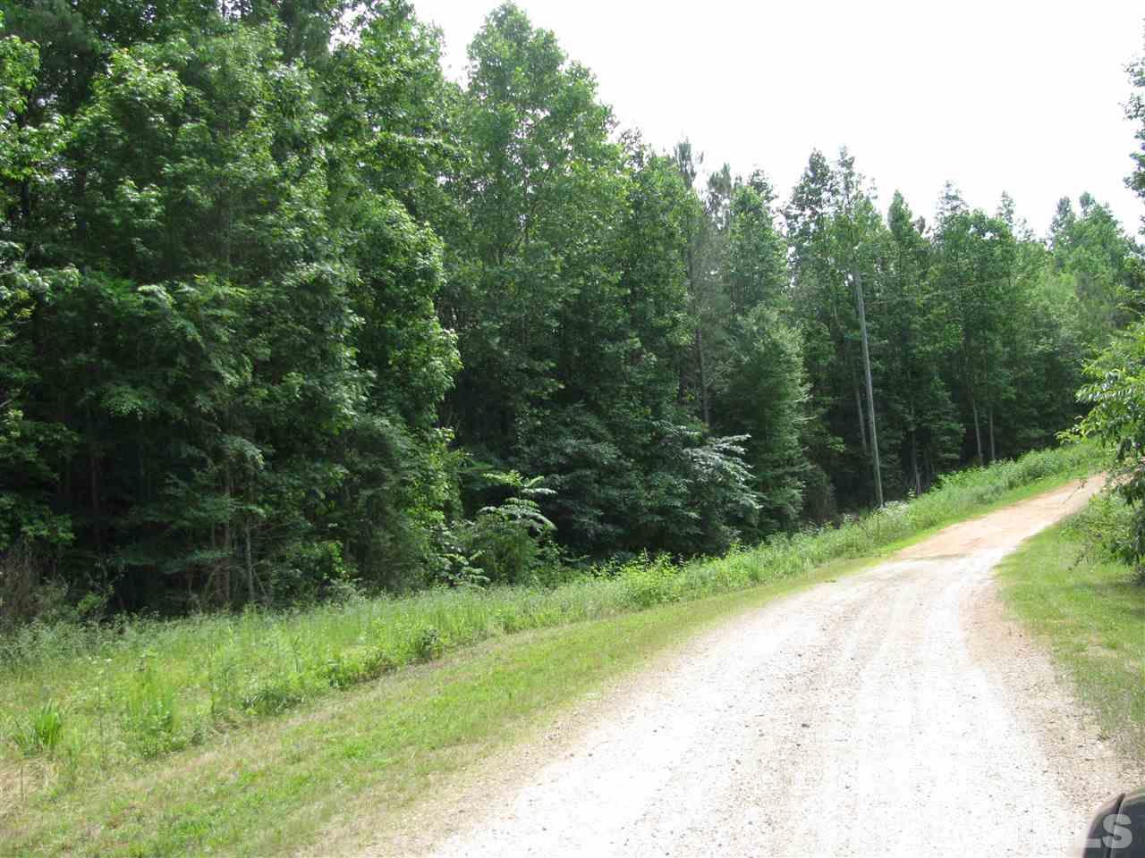 Blackberry Lane - Photo 1