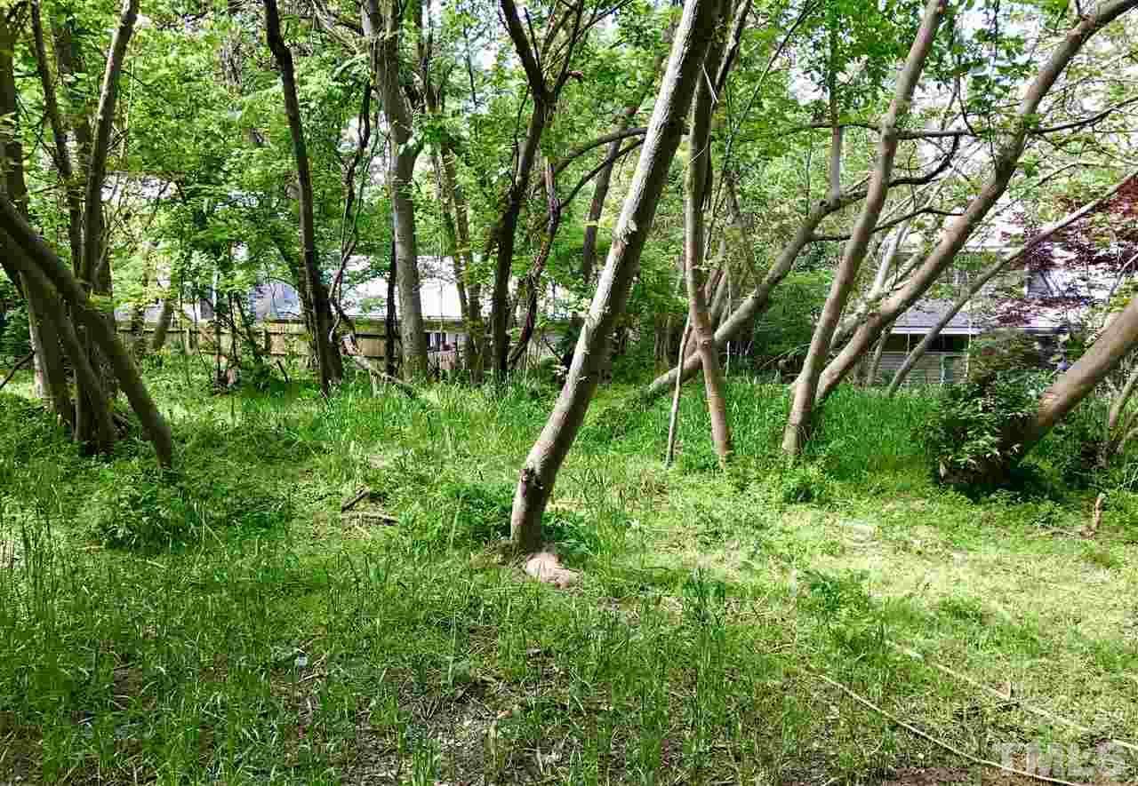 TBD Friendly Lane - Photo 1