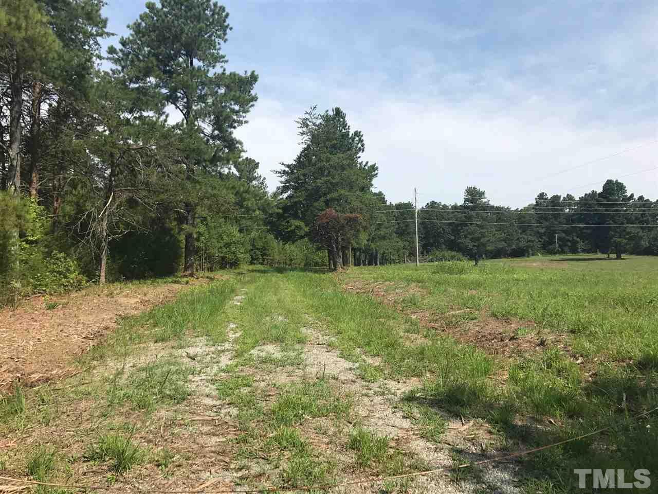 3609 Mt Willing Road - Photo 1