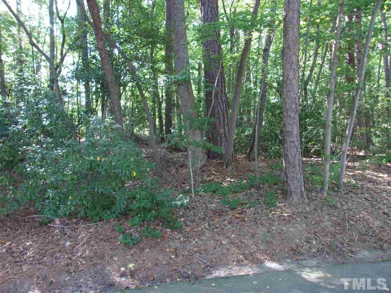 1110 Falling Stream - Photo 1