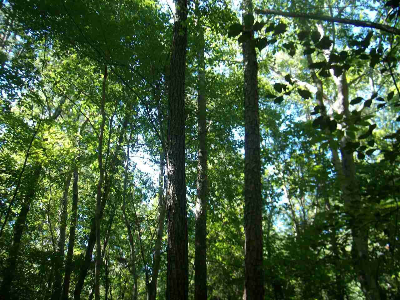 000 Pete Roberson Road - Photo 1