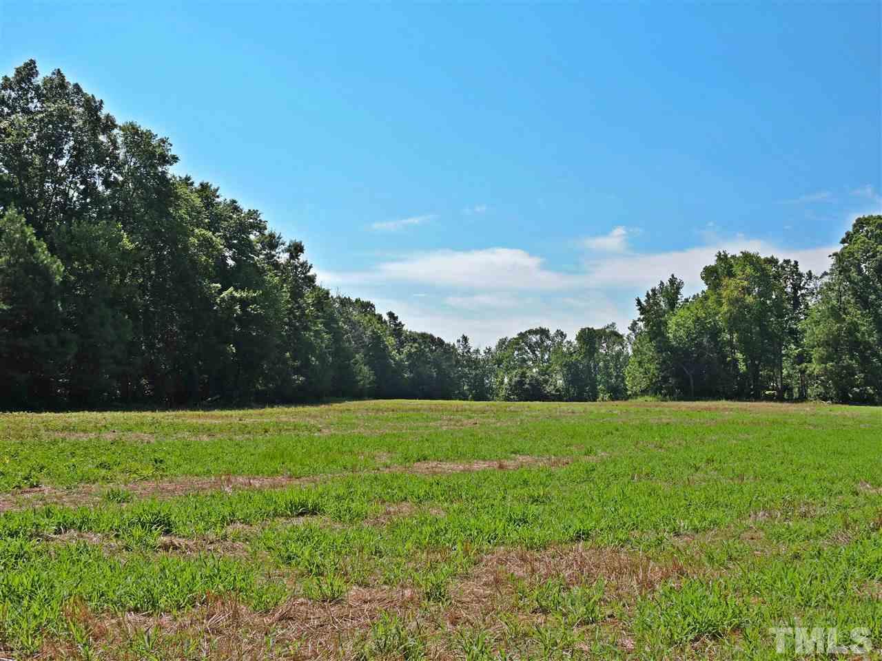 254 acres New Sharon Church Road - Photo 1