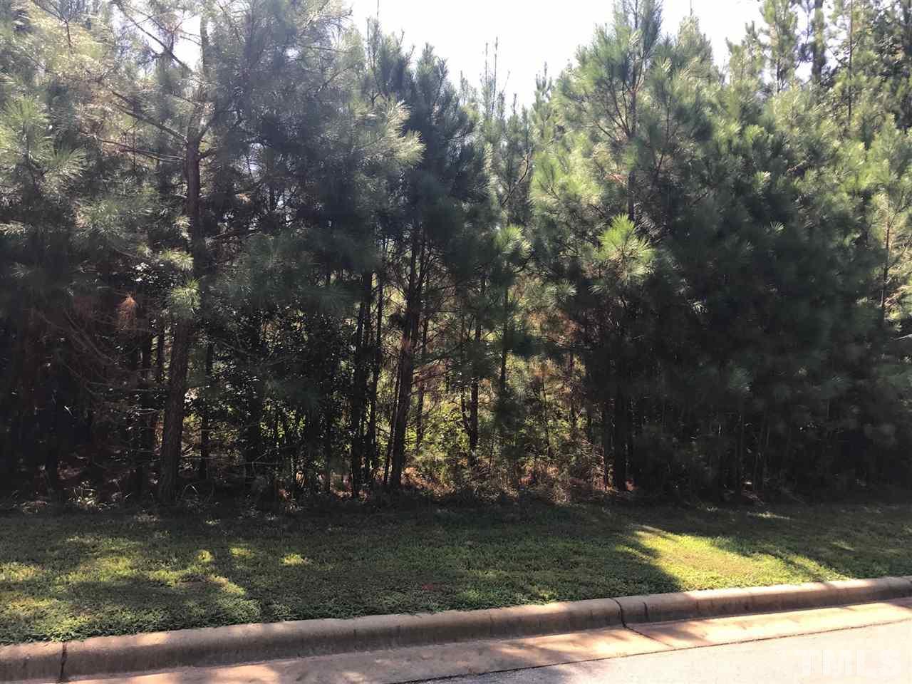 116 Brandy Mill - Photo 1