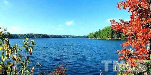 6808 Lake Wheeler Road - Photo 1