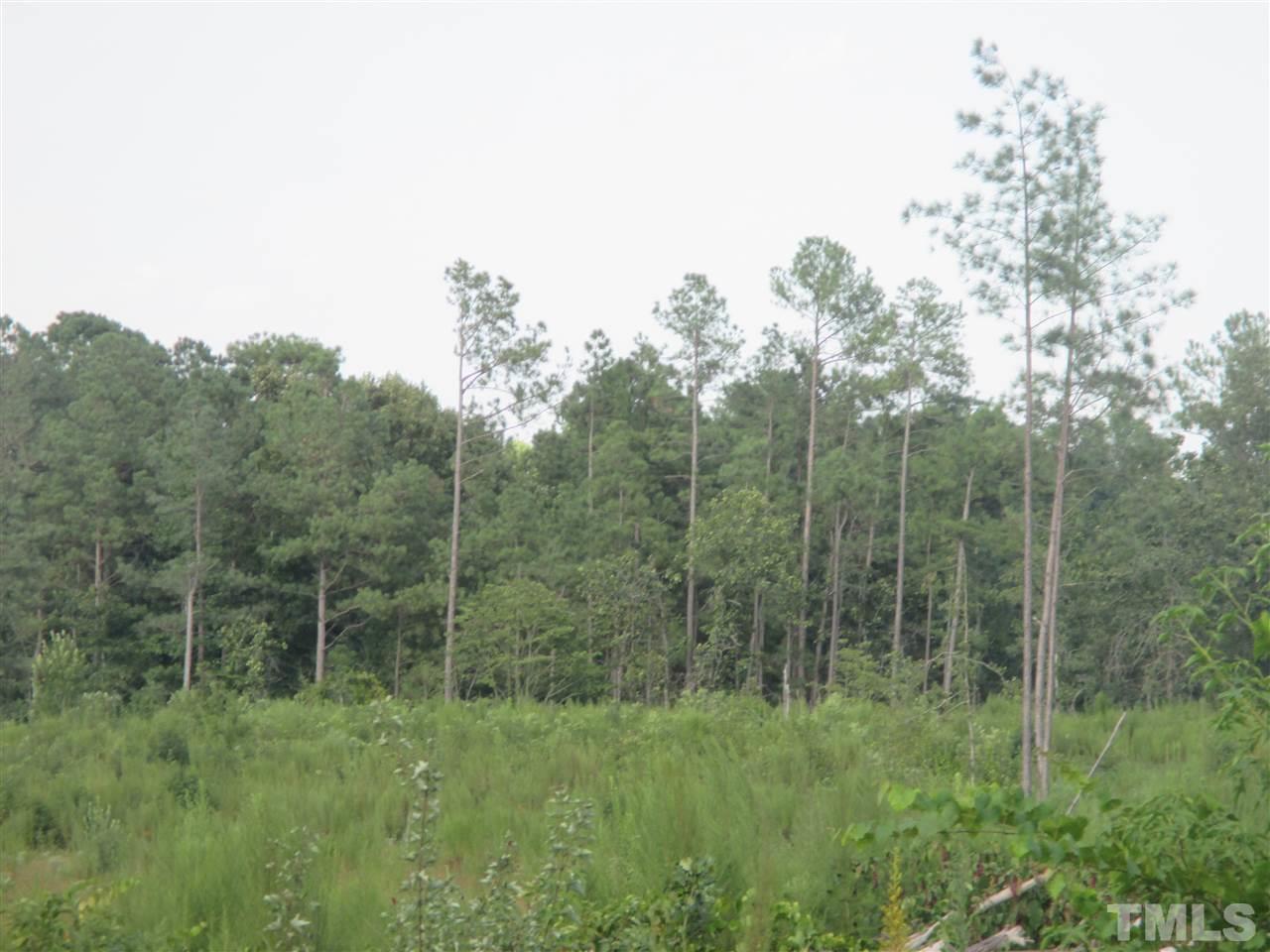 116 Ithica Lane - Photo 1