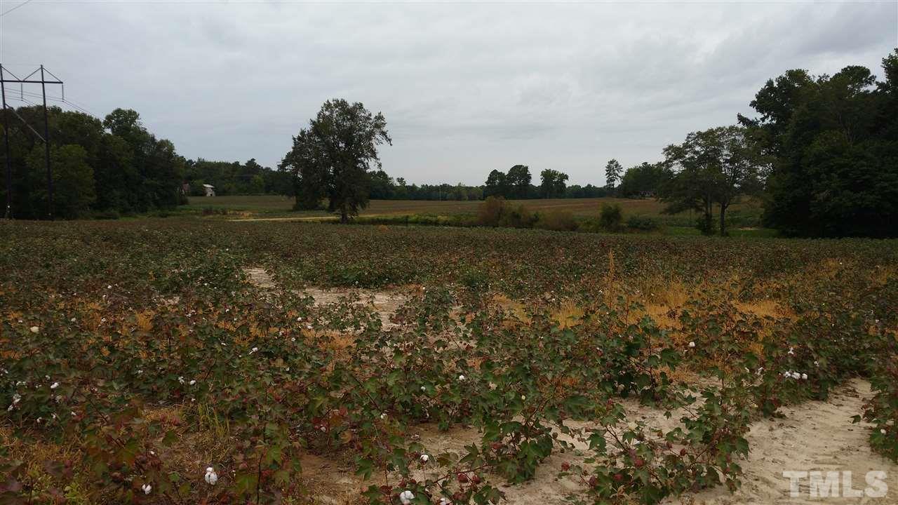 0 Sheriff Johnson Road - Photo 1