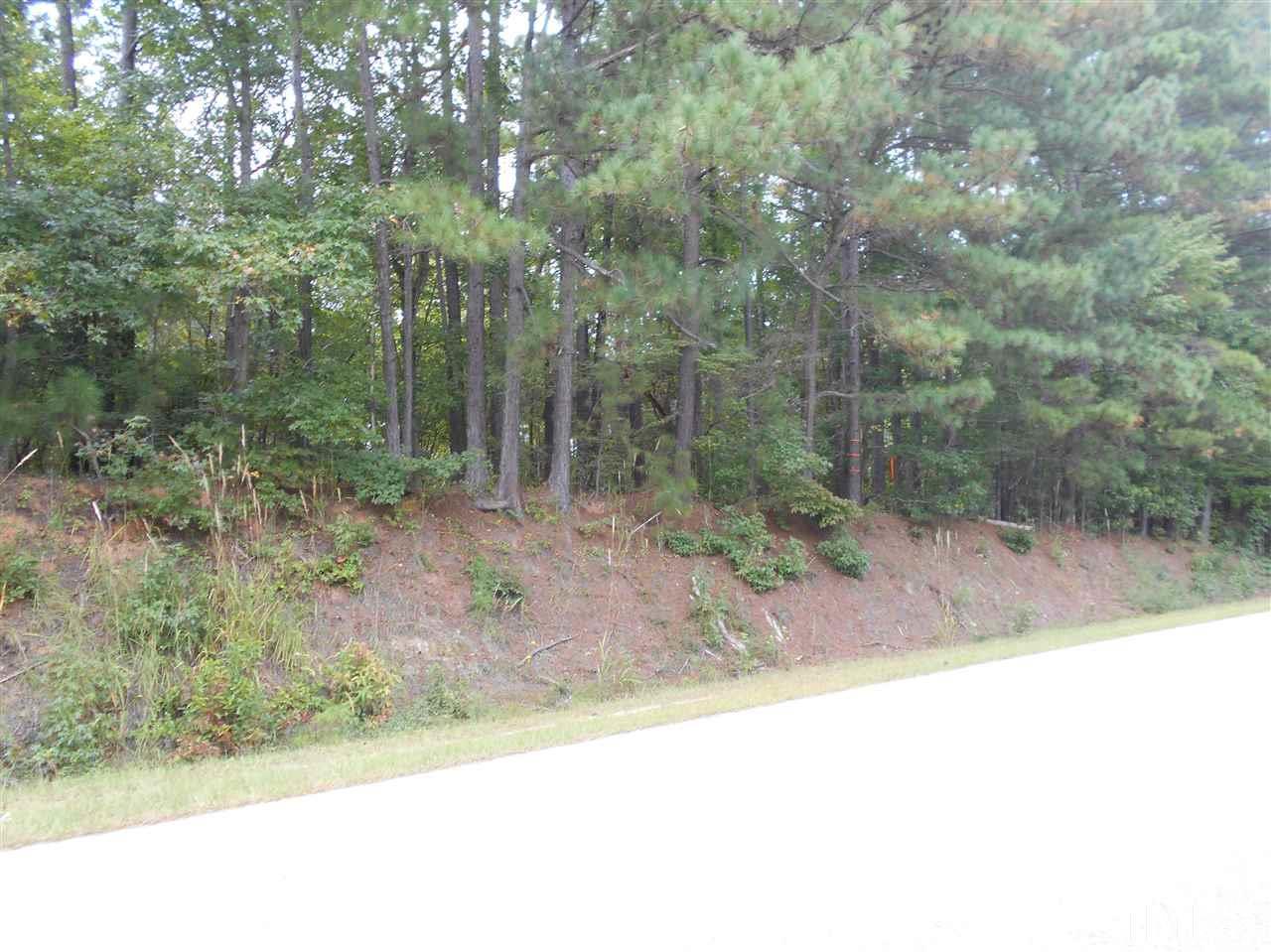 0 Old Middlesex Road - Photo 1