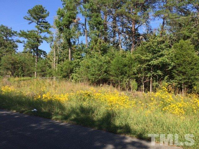 3257 Bo Fuller Road - Photo 1