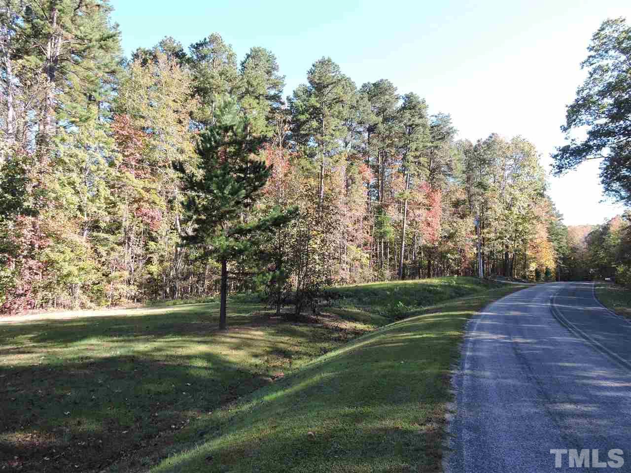 1.19 acres Charlie Reade Road - Photo 1
