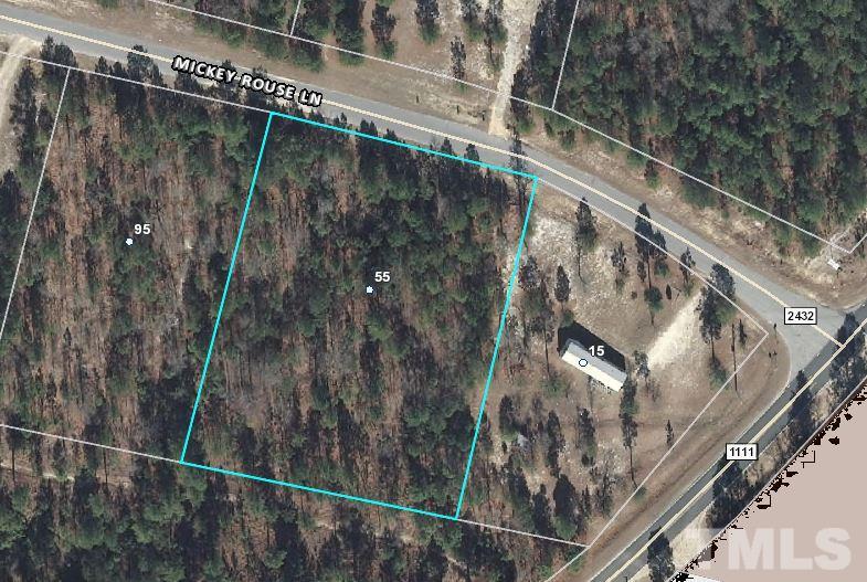 55 Mickey Rouse Lane - Photo 1