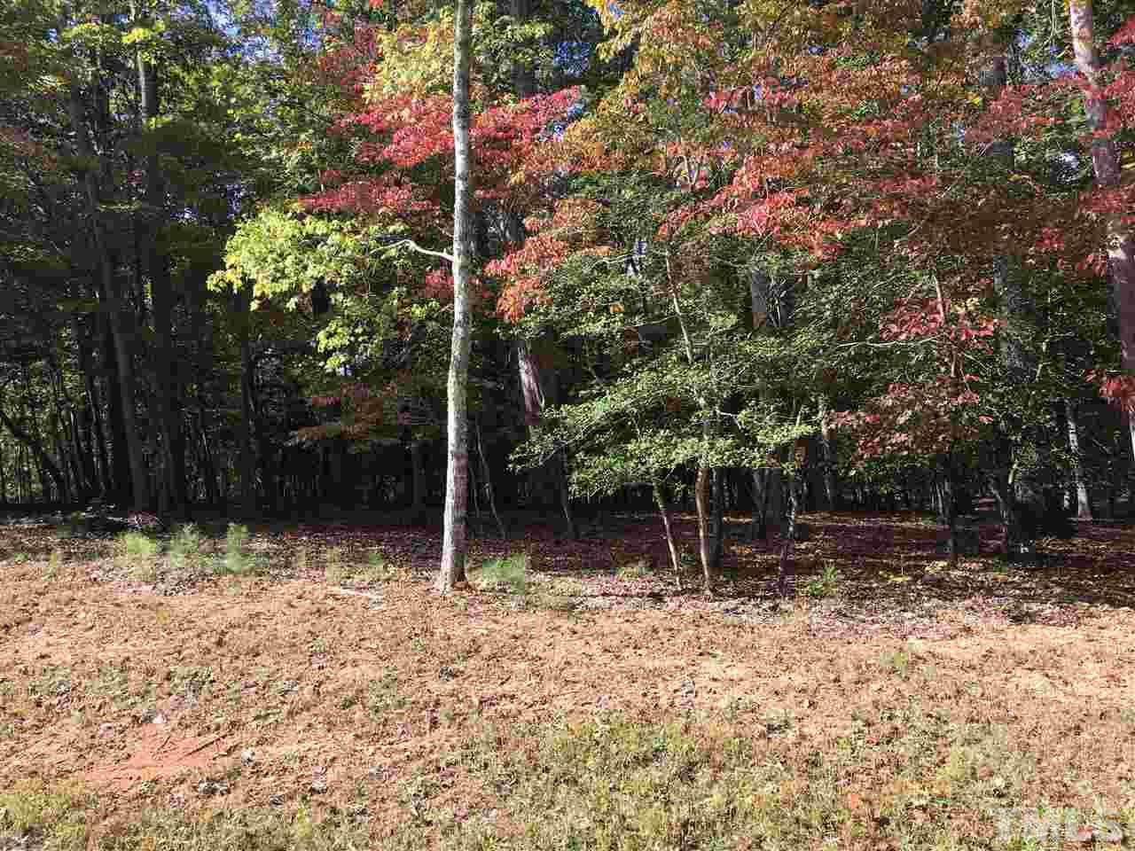 57 North Julip Court - Photo 1