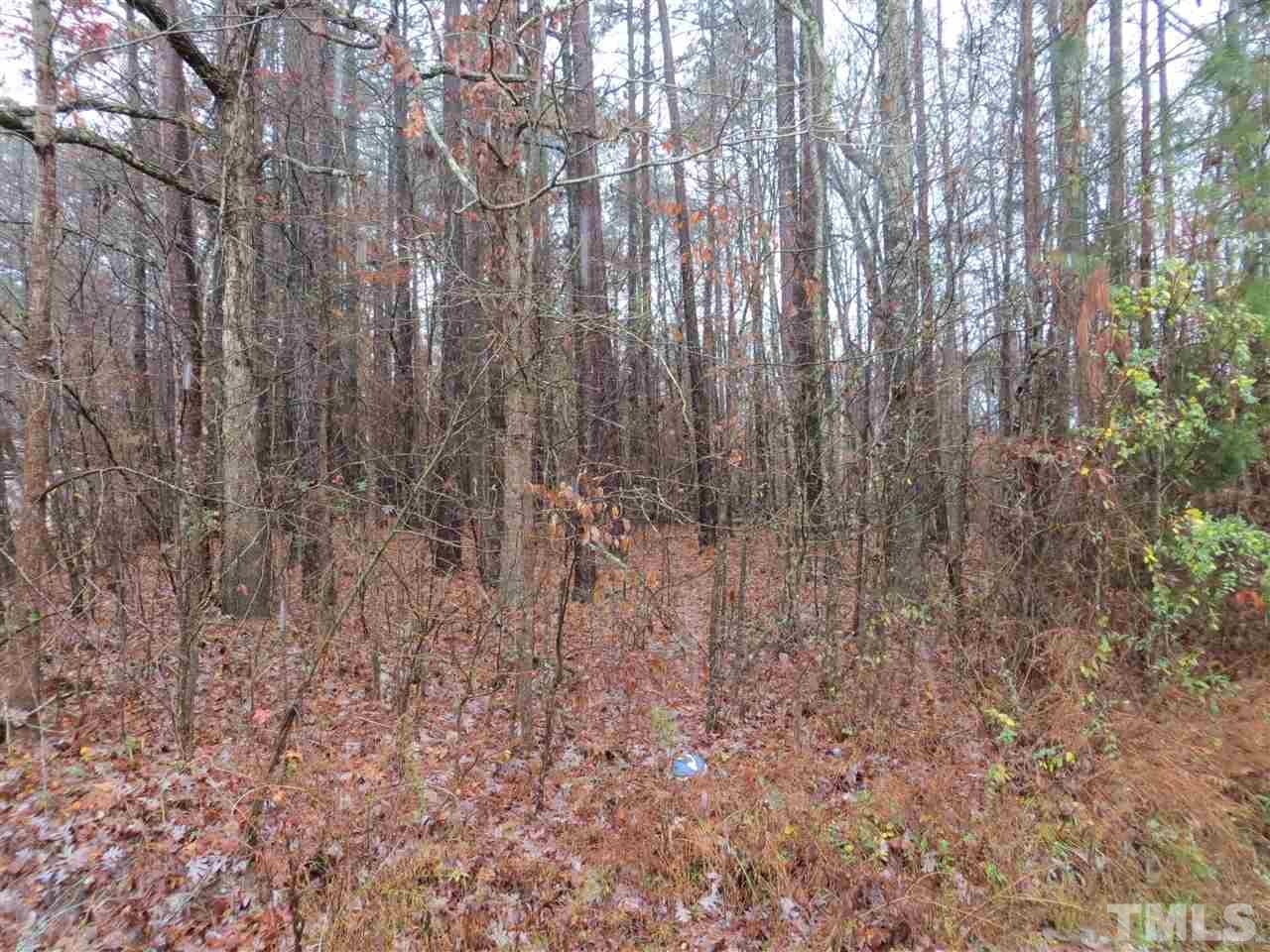 126 Abbott Lane - Photo 1