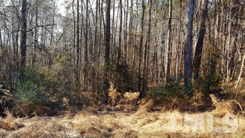206 Hocutt Road - Photo 1