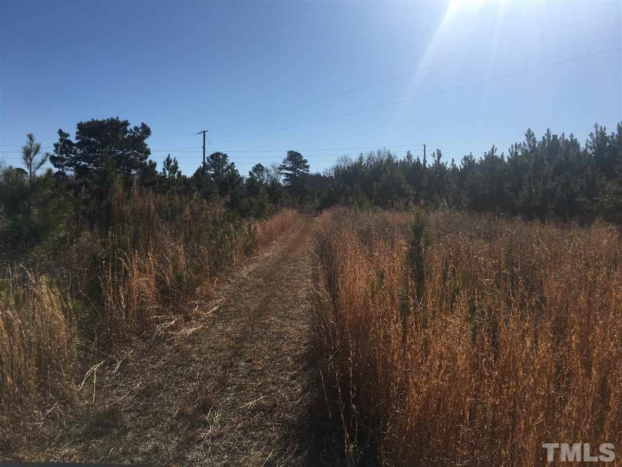 Dead Road - Photo 1