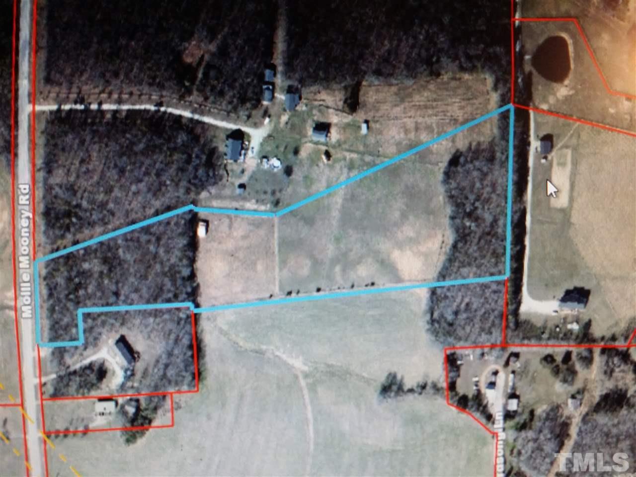 000 Mollie Mooney Road - Photo 1