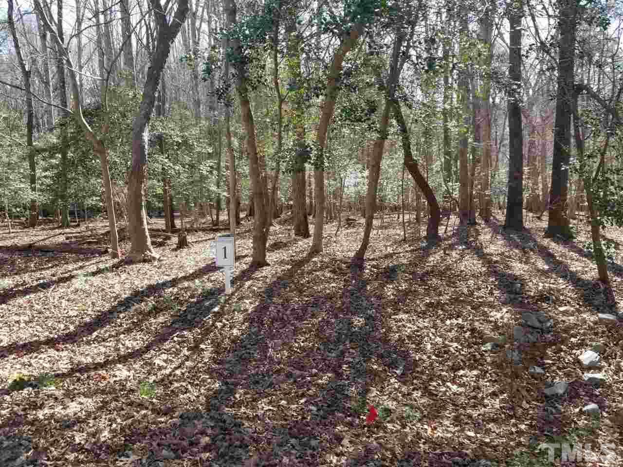 2009 Nipper Road - Photo 1